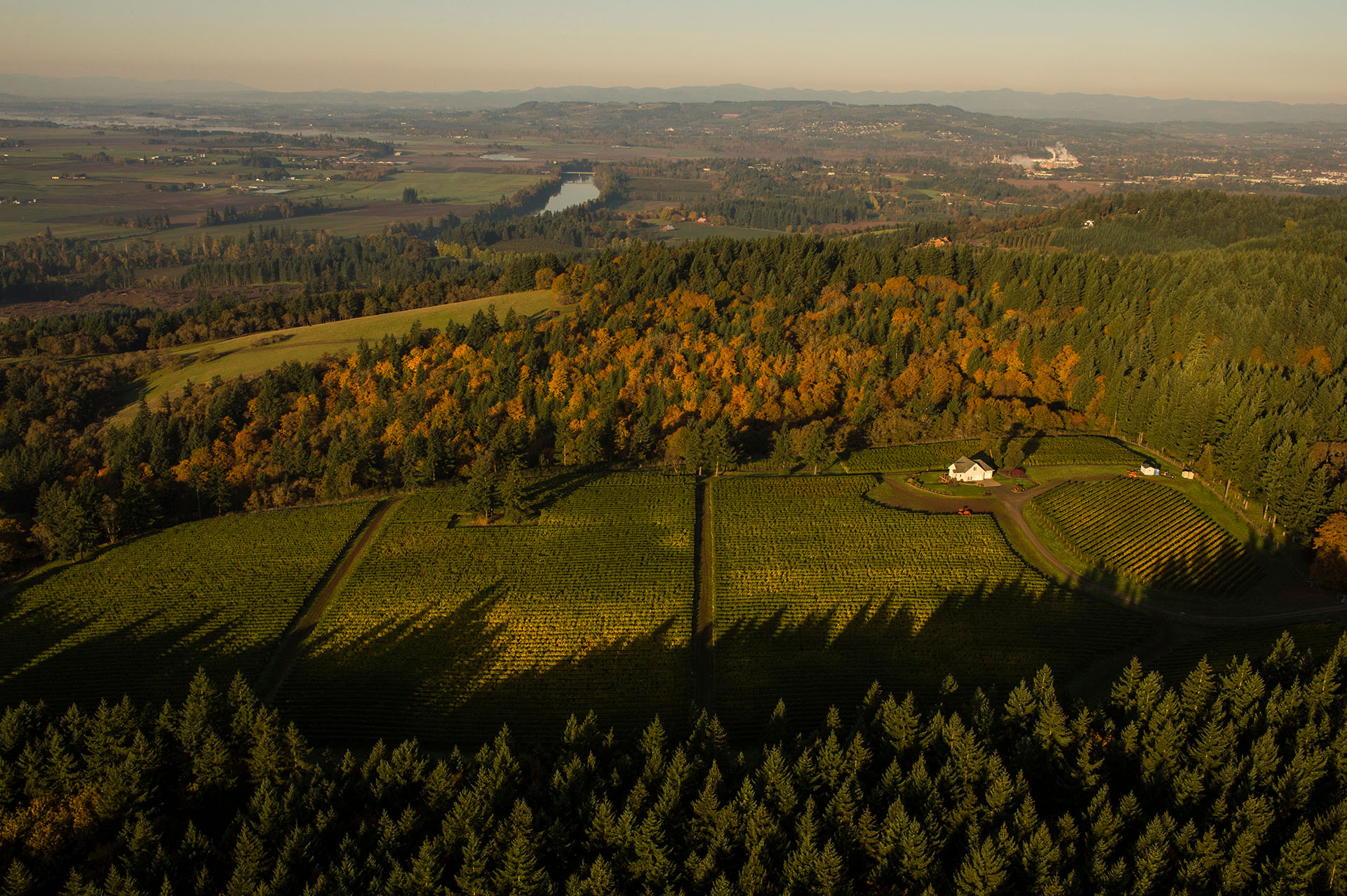 Le Cadeau Vineyard Banner